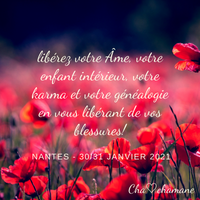 Celeritup Evenement Challans Stage Nantes Les 5 Blessures De L Ame Se Liberer Pour Se Reveler Charline Hugonnet Energetique 30 Jan 21